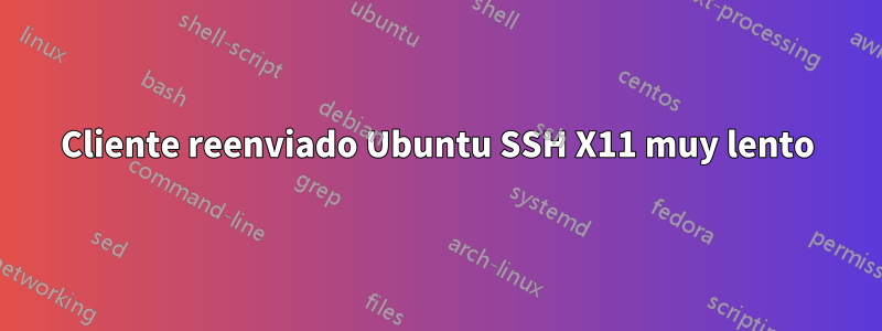 Cliente reenviado Ubuntu SSH X11 muy lento