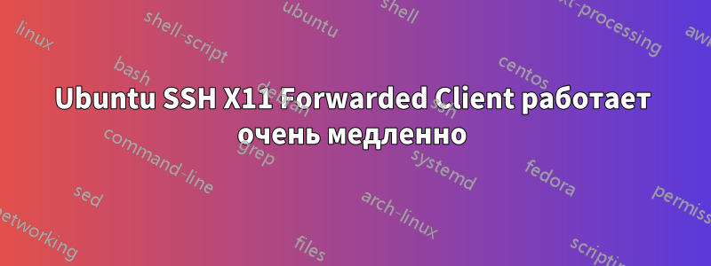 Ubuntu SSH X11 Forwarded Client работает очень медленно