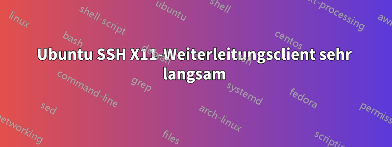 Ubuntu SSH X11-Weiterleitungsclient sehr langsam