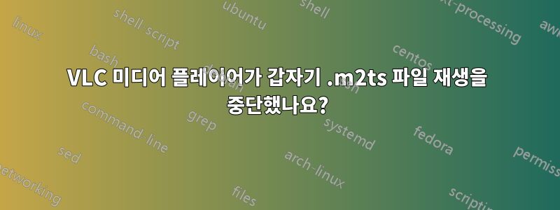 VLC 미디어 플레이어가 갑자기 .m2ts 파일 재생을 중단했나요?