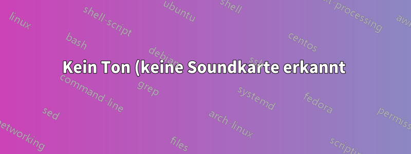 Kein Ton (keine Soundkarte erkannt)