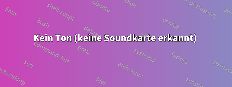 Kein Ton (keine Soundkarte erkannt)