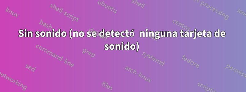 Sin sonido (no se detectó ninguna tarjeta de sonido)