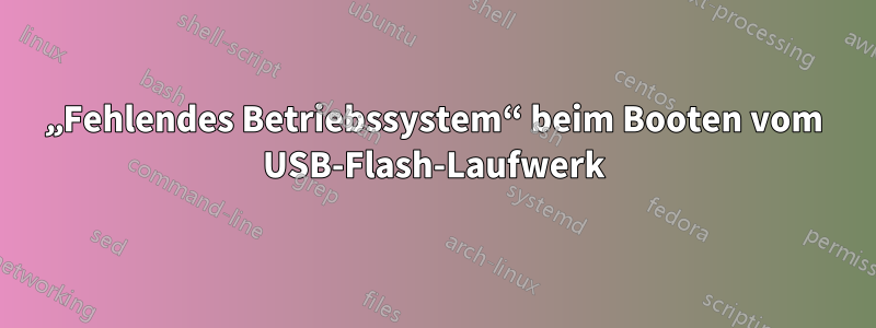 „Fehlendes Betriebssystem“ beim Booten vom USB-Flash-Laufwerk