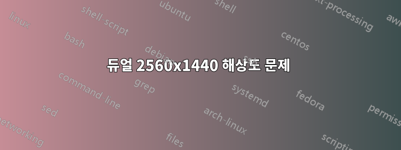 듀얼 2560x1440 해상도 문제