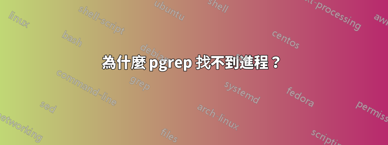 為什麼 pgrep 找不到進程？