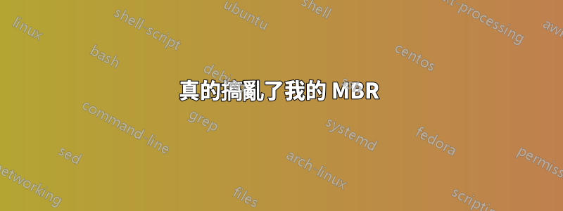 真的搞亂了我的 MBR