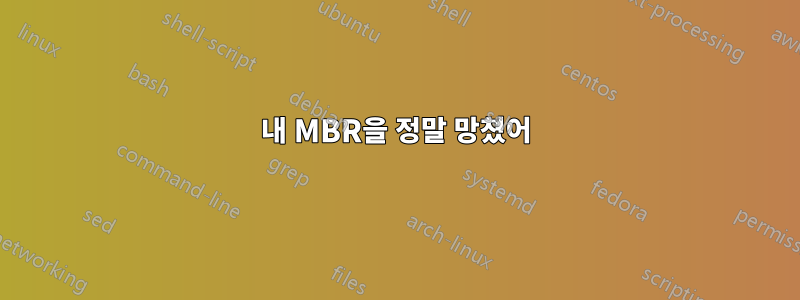 내 MBR을 정말 망쳤어