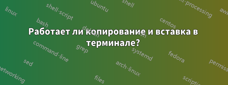 Работает ли копирование и вставка в терминале?