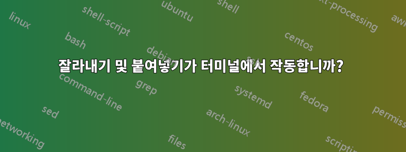 잘라내기 및 붙여넣기가 터미널에서 작동합니까?