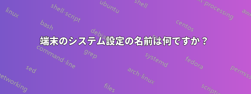 端末のシステム設定の名前は何ですか？