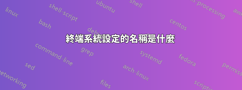 終端系統設定的名稱是什麼