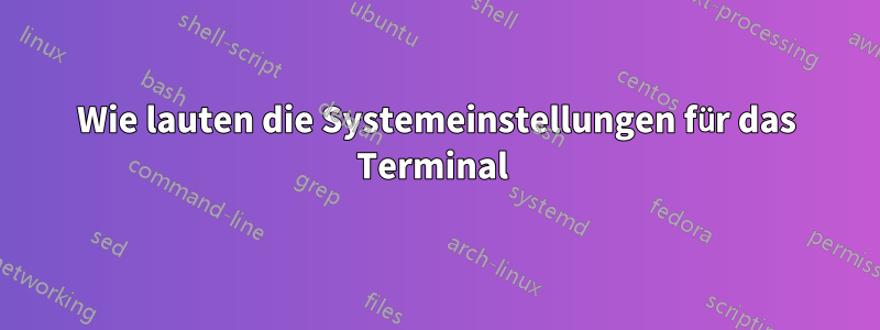 Wie lauten die Systemeinstellungen für das Terminal 