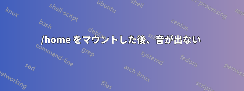 /home をマウントした後、音が出ない