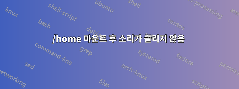 /home 마운트 후 소리가 들리지 않음