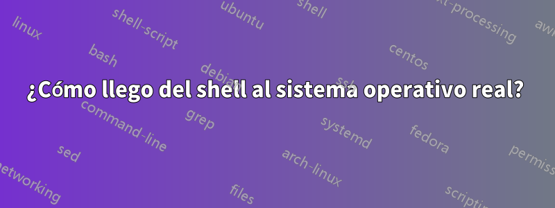 ¿Cómo llego del shell al sistema operativo real?