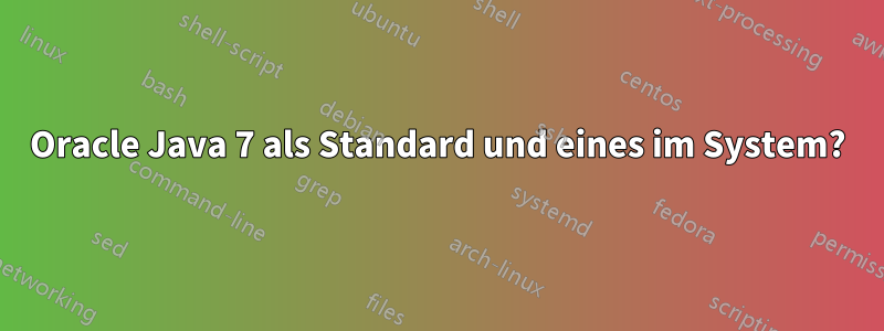 Oracle Java 7 als Standard und eines im System?