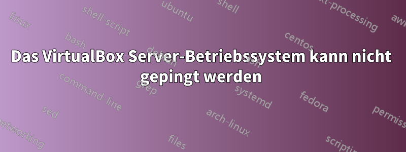 Das VirtualBox Server-Betriebssystem kann nicht gepingt werden