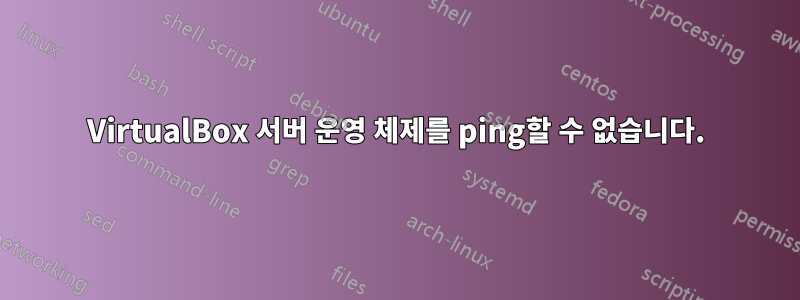 VirtualBox 서버 운영 체제를 ping할 수 없습니다.