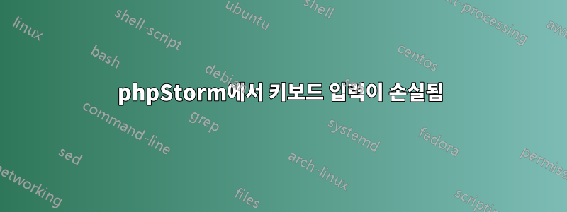 phpStorm에서 키보드 입력이 손실됨