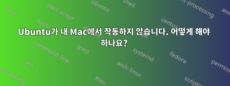 Ubuntu가 내 Mac에서 작동하지 않습니다. 어떻게 해야 하나요?