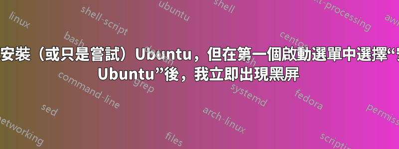 嘗試安裝（或只是嘗試）Ubuntu，但在第一個啟動選單中選擇“安裝 Ubuntu”後，我立即出現黑屏