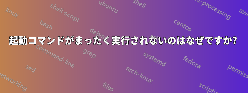 起動コマンドがまったく実行されないのはなぜですか?