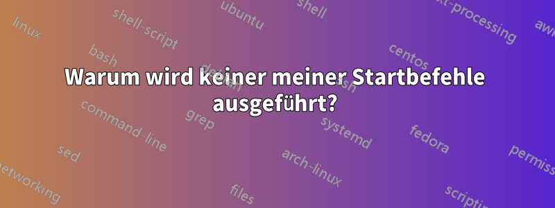 Warum wird keiner meiner Startbefehle ausgeführt?