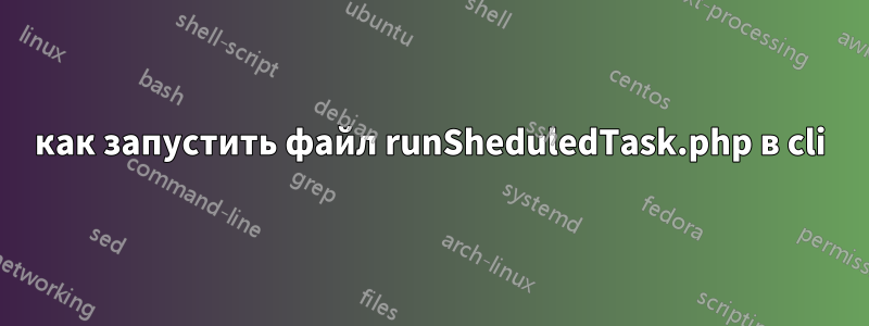 как запустить файл runSheduledTask.php в cli