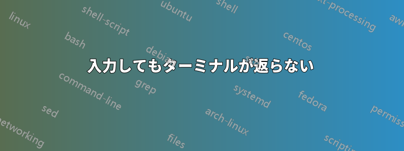 入力してもターミナルが返らない