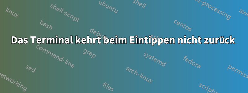 Das Terminal kehrt beim Eintippen nicht zurück