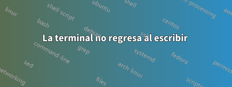 La terminal no regresa al escribir