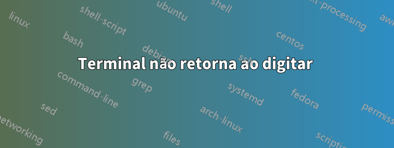 Terminal não retorna ao digitar