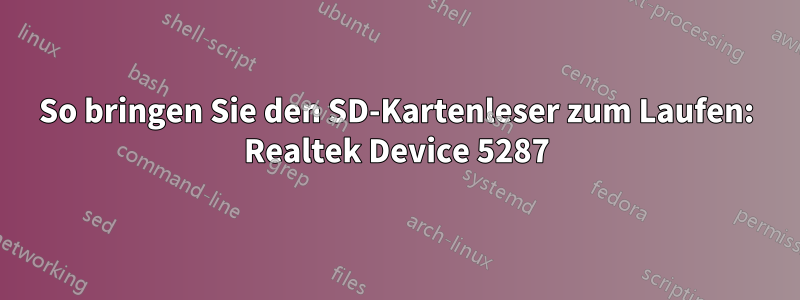 So bringen Sie den SD-Kartenleser zum Laufen: Realtek Device 5287