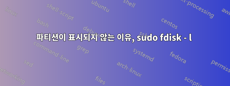 파티션이 표시되지 않는 이유, sudo fdisk - l