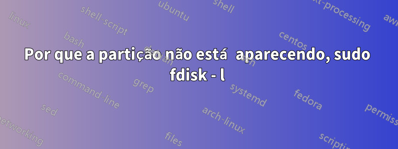 Por que a partição não está aparecendo, sudo fdisk - l