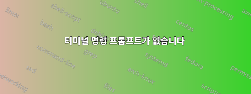 터미널 명령 프롬프트가 없습니다