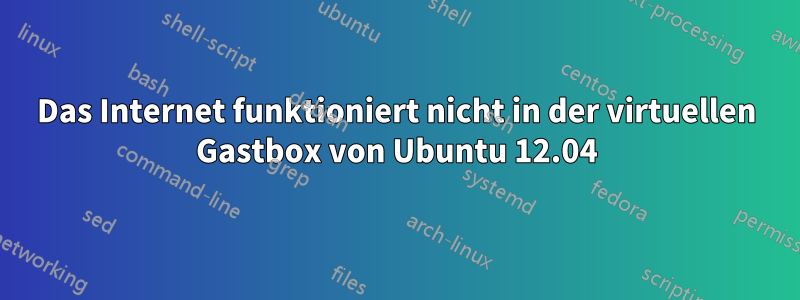 Das Internet funktioniert nicht in der virtuellen Gastbox von Ubuntu 12.04