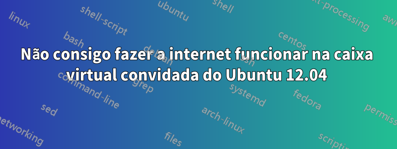 Não consigo fazer a internet funcionar na caixa virtual convidada do Ubuntu 12.04