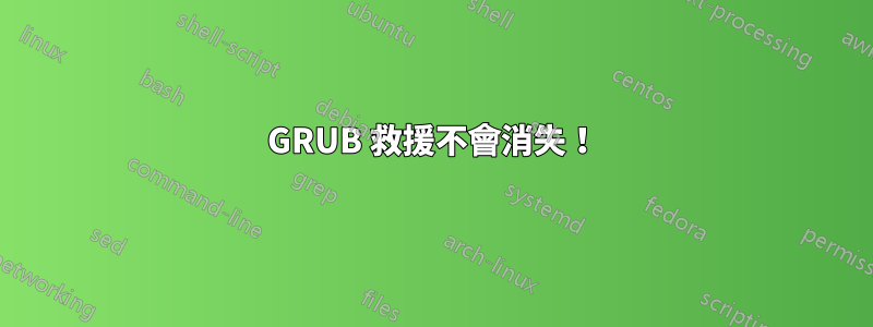 GRUB 救援不會消失！