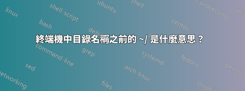 終端機中目錄名稱之前的 ~/ 是什麼意思？ 