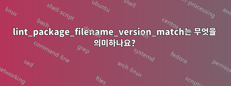 lint_package_filename_version_match는 무엇을 의미하나요?