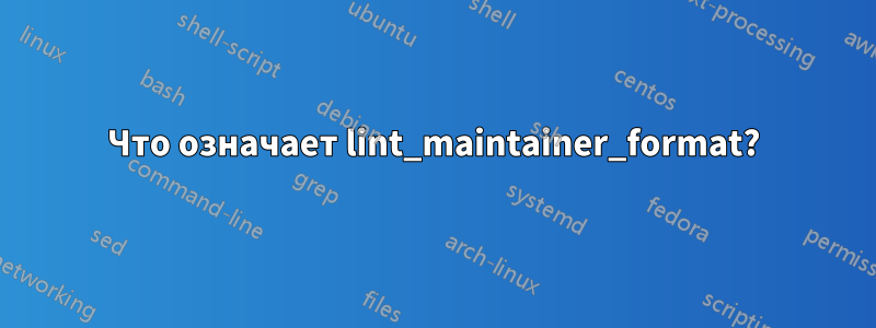 Что означает lint_maintainer_format?