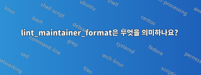 lint_maintainer_format은 무엇을 의미하나요?