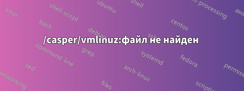 /casper/vmlinuz:файл не найден