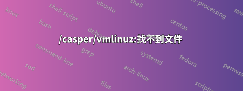 /casper/vmlinuz:找不到文件