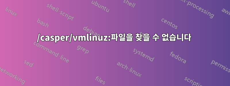 /casper/vmlinuz:파일을 찾을 수 없습니다