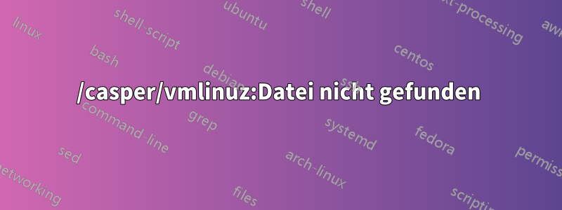 /casper/vmlinuz:Datei nicht gefunden