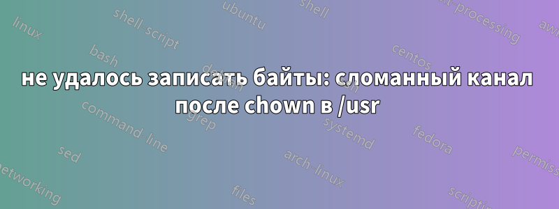 не удалось записать байты: сломанный канал после chown в /usr