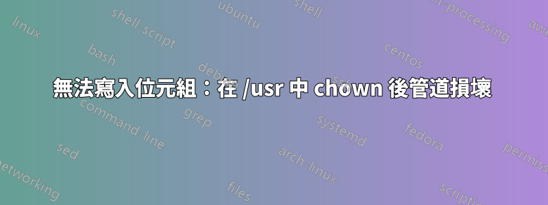 無法寫入位元組：在 /usr 中 chown 後管道損壞